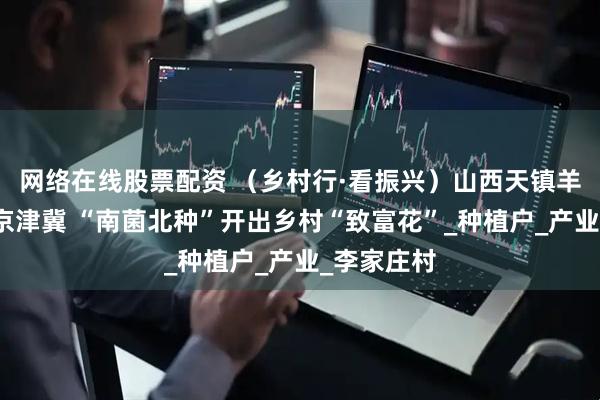 网络在线股票配资 （乡村行·看振兴）山西天镇羊肚菌登陆京津冀 “南菌北种”开出乡村“致富花”_种植户_产业_李家庄村