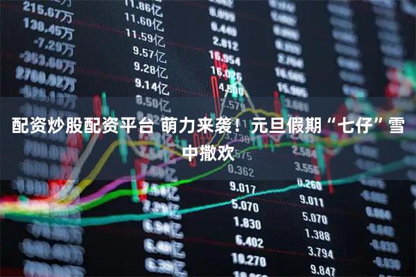 配资炒股配资平台 萌力来袭!元旦假期“七仔”雪中撒欢